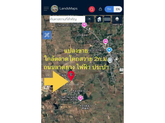ขายที่ดินในชุมชน 8ไร่ 3งาน 69 ตารางวา ชุมชนบ้านโนนไทรโยง ใกล้ตลาดโคกสวาย โนนไทย นครราชสีมา อยู่อาศัยได้ (เจ้าของขายเอง)