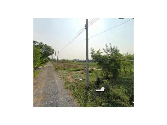 ขายด่วน ที่ดินบ้านไทรน้อยเป็นที่ถมแล้วแปลงเล็กๆ ราคาถูก ติดถนนสาธารณะ ใกล้ถนน 4เลน(340) เนื้อที่ 70 ตรว. เหมาะปลูกบ้านทำเกษตร