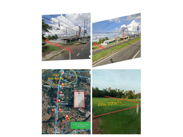 ขายที่ดิน 200 ตรว. บรรยากาศวิวทุ่งนา ใกล้เมือง หลังติดห้วย