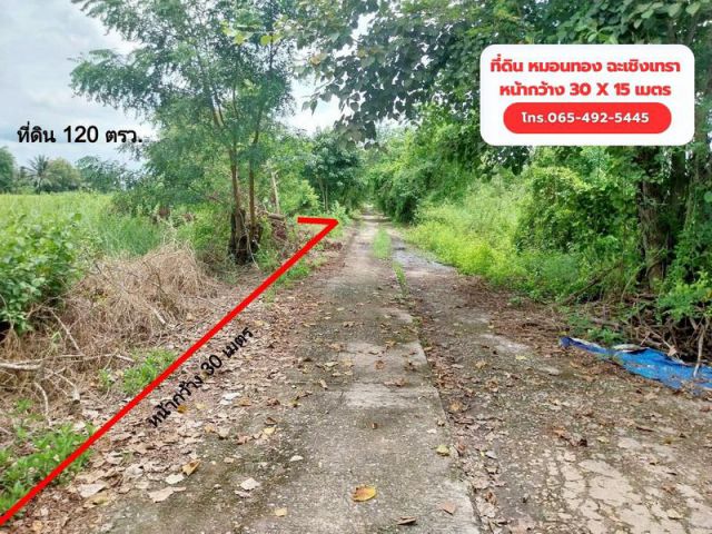 ขาย ที่ดิน 120 ตรว. 5 แสน!! ต.หมอนทอง อ.บางน้ำเปรี้ยว จ.ฉะเชิงเทรา ใกล้โรงเรียนวัดคลอง18 ห่างเขตหนองจอกประมาณ 33 k.m.