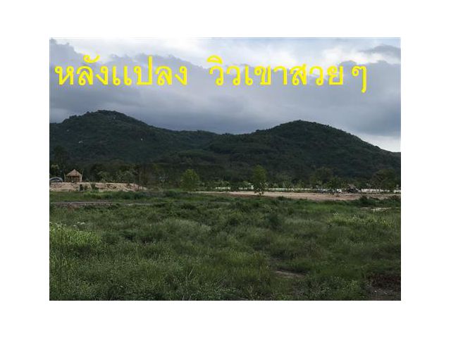 ที่ดิน  เหมาะ ทำสวน  เเละ กิจการ  หรือ ท่านที่ชอบ  วิวเขา