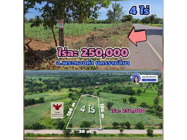 ╰┈►►ขายที่ดินโฉนด 4ไร่ ติดถนนลาดยางบ้านสายออ-หนองกก ไฟฟ้าประปา ไร่ละ250,000