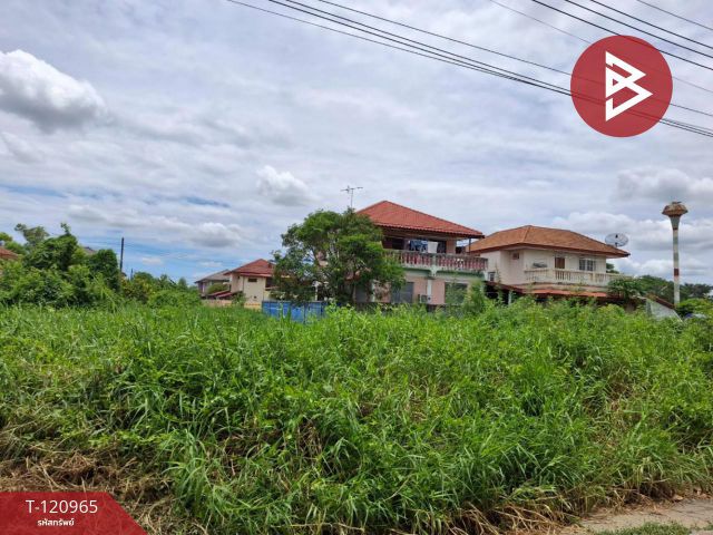 ขายที่ดิน เนื้อที่ 60 ตร.วา ลาดบัวหลวง พระนครศรีอยุธยา