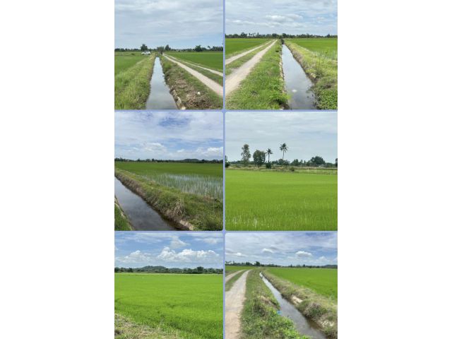 ที่นาติดคลอง วิวเขาสวย