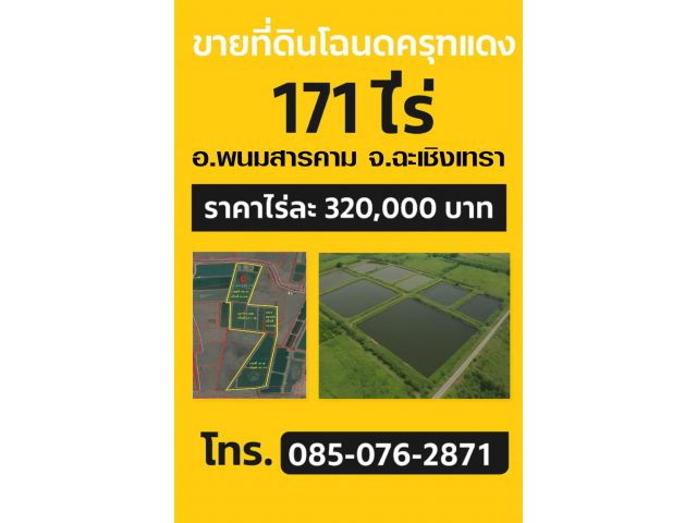 ขายที่ดินโฉนดครุฑแดง171ไร่ ตำบลหนองยาว อำเภอพนมสารคาม จังหวัดฉะเชิงเทรา