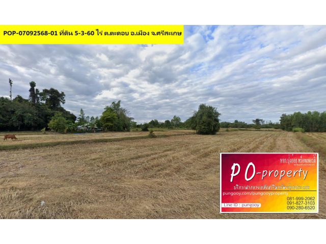 POP-07092568-01 ที่ดิน 5-3-60 ไร่ ต.ตะดอบ อ.เมือง จ.ศรีสะเกษ