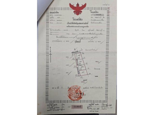 ขายที่ดิน 91 ตรว.ฟรีค่าโอน ที่สูงน้ำไม่ท่วม ใกล้ อบต.มะเริง ,มหาวิทยาลัยการท่องเที่ยว