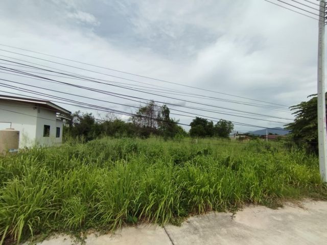 ขายที่ดินใจกลางเมืองนาป่า 200 ตรว. ซ.เพนียงพัฒนา2 ติดถนนคอนกรีตที่ดินถมสูงเท่าถนน ใกล้ถ.บายพาสเลี่ยงเมือง361 - 1 กม.