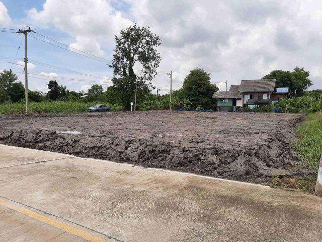 ขาย/ให้เช่า ที่ดินสามโคก แปลงหัวมุม ถมแล้ว ติดถนนคอนกรีตในซอยเจ้าพ่อต้นข่อย