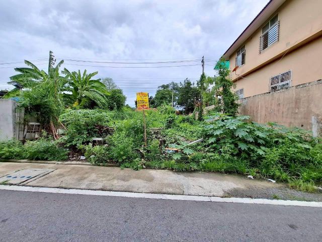ขายด่วนที่ดินคลองถนน 50 ตรว ติดถนนคอนกรีตสาธารณะ 2 ด้าน ซ.บ้านสวนปาริชาติ อ.บางใหญ่ จ.นนทบุรี