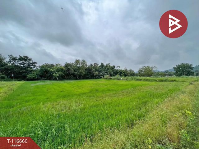 ขายที่ดินสวย เนื้อที่ 7 ไร่ 1 งาน 96.7 ตารางวา สาริกา นครนายก