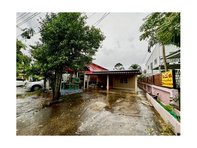 ขายที่ดินพร้อมบ้านชั้นเดียว ต.ป่ายุบใน อ.วังจันทร์ จ.ระยอง 3 นอน 2 น้ำ 2 จอด
