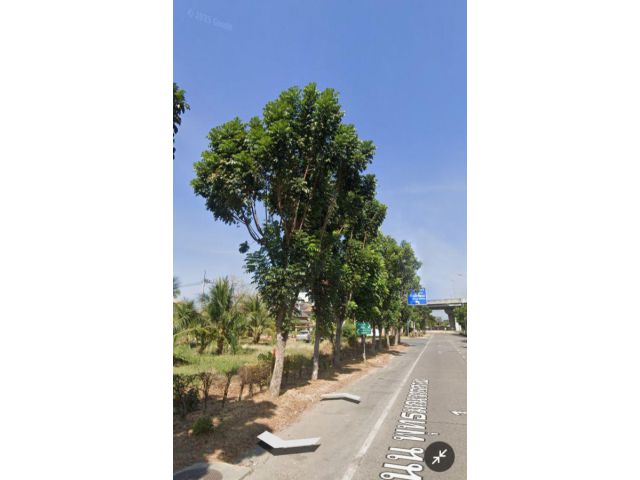 ที่ดินติดถนนพุทธมณฑลสาย1 เนื้อที่1ไร่ ใกล้สวนผัก, บรมฯ, สายใต้ใหม่