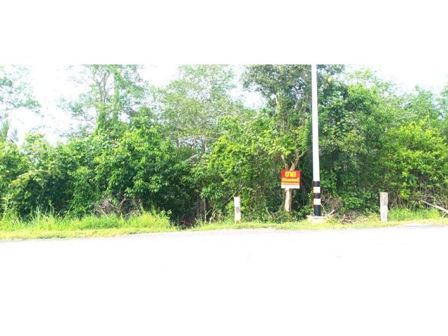 !!!ที่ดินราคาพิเศษ พิกัดอยู่แถวเกาะโตนด!!! เสนอขายที่ดินแปลงเปล่า ทำเลใกล้ตัวเมืองจันทบุรี เนื้อที่ 16 ไร่กว่าๆ ตำบลเกาะ