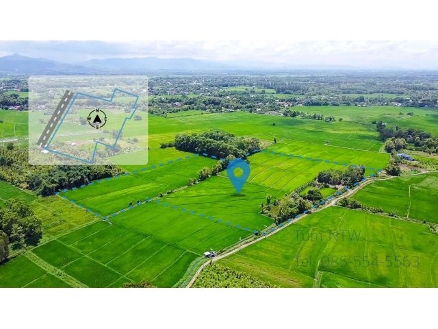 C811 ขายที่ดิน ดอยสะเก็ด ที่นา 28 ไร่ ต.สง่าบ้าน ใกล้ถนนบ่อสร้าง-ดอยสะเก็ด | Land 28 rai at Doi Saket for Sale