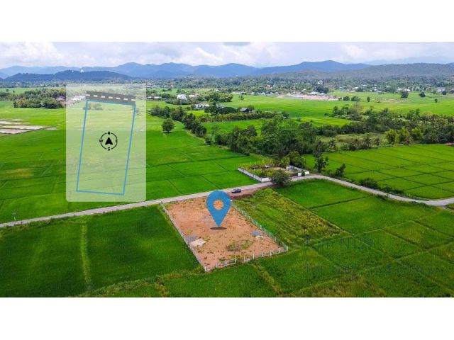 C814 ขายที่ดิน ดอยสะเก็ด พื้นที่ 300 ตร.ว เชียงใหม่| Land 300 sq.wah in Doi Saket For Sale