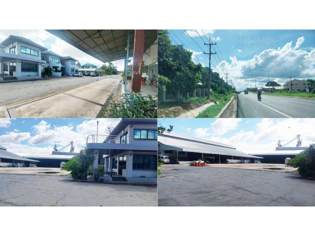 ต้องการขายด่วน ขายโรงสี บ้าน ที่ดิน อยู่กลางตัวเมืองอำนาจเจริญ ที่ดิน 94ไร่  ลดราคาถูกๆ