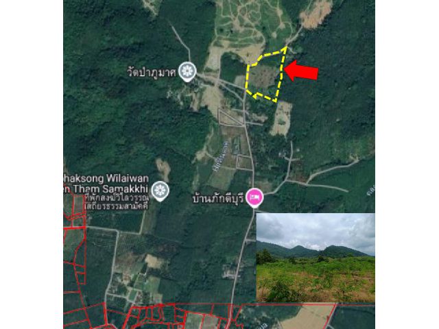 ขายที่ดินเปล่า ตรงข้ามวัดป่าภูมาศ สงบร่มรื่น ท่ามกลางธรรมชาติ มีลำธารไหลผ่าน