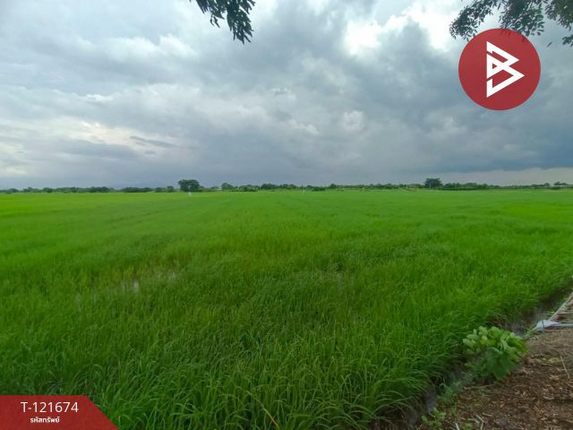 ขายด่วนที่ดินเปล่า เนื้อที่ 17 ไร่ ต.นิคมสร้างตนเอง ลพบุรี ติดถนน
