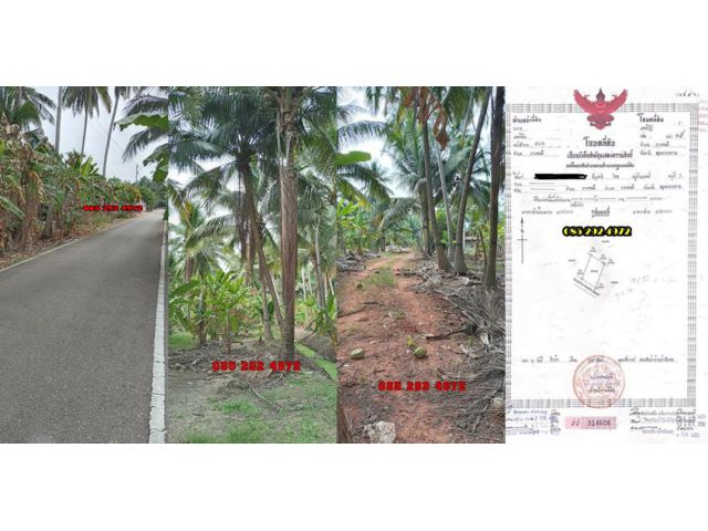 เนื้อที่ 1 ไร่ ใกล้ถนนหลัก 7OO ม. ใกล้ อ.บางคนที 3 กม. ใกล้ รพ.นภาลัย 3 กม.