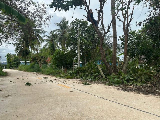ขายที่ดินบ้านหนองเลง หนองขาม 200 ตรว. ใกล้นิคมปิ่นทอง10กม. อ.ศรีราชา ชลบุรี