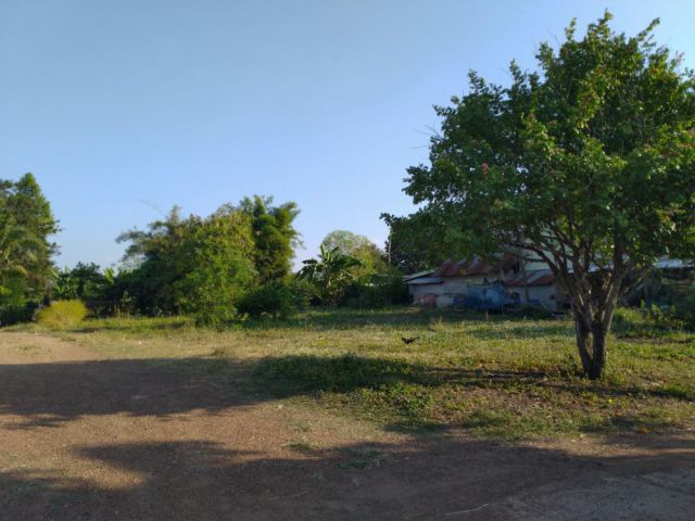 ขายที่ดินโฉนดครุฑแดง 191.3 ตร.วา ติดถนนใหญ่ ใกล้โลตัส วังน้ำเย็น