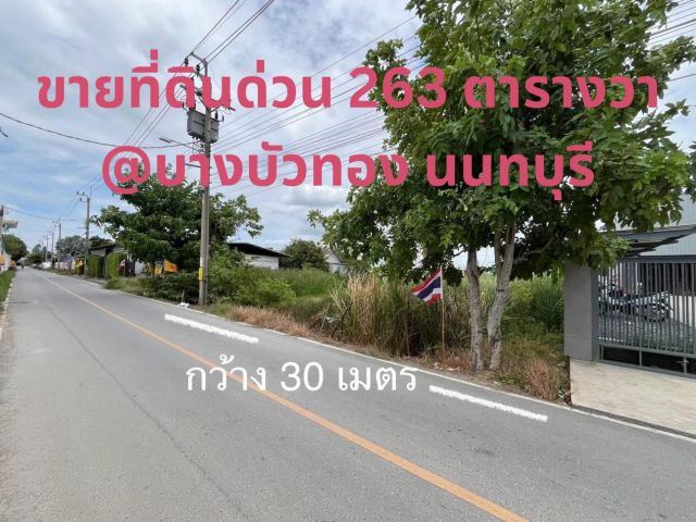 ขายที่ดินสวน 263 ตรว. ทำเลทอง ซ.วัดพูนพิมลราช บางบัวทอง นนทบุรี พื้นที่สีเหลือง