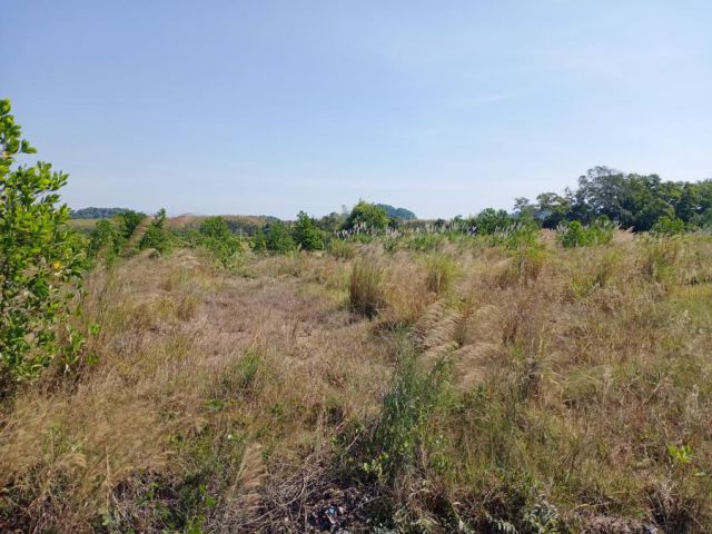 เสนอขายที่ดินแปลงเปล่า เหมาะสำหรับทำสวนผลไม้หรือพืชการเกษตร ราคาน่าซื้อ เนื้อที่ 36 ไร่กว่าๆ ตำบลทุ่งเบญจา อำเภอท่าใหม่ จังหวัดจันทบุ
