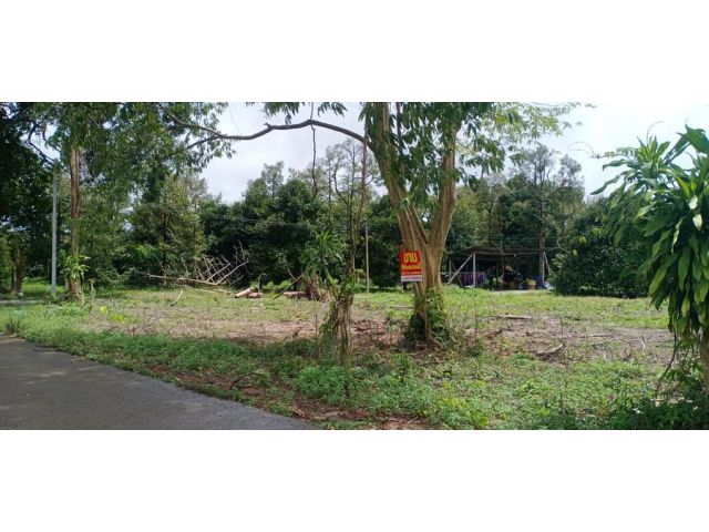 เสนอขายที่ดินว่างเปล่า ติดถนนคอนกรีต วิวเขาสวยตระหง่าน ใกล้วัดคลองเจริญ เนื้อที่ 1 ไร่ 1 งาน 86 ตรว. ตำบลพลวง อำเภอเขาคิ