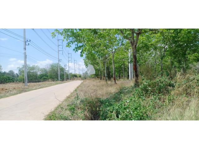 เสนอขายที่ดินสวนยางพารา ที่แปลงสวย ห่างถนนสี่เลนประมาณ 500 เมตรกว่าๆ ติดถนนคอนกรีต 2 ด้าน เนื้อที่ 48 ไร่ ตำบลปะตง อำเภอ