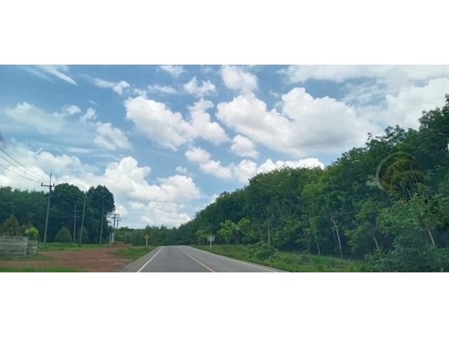 เสนอขายที่ดินแปลงใหญ่แปลงเปล่า ติดถนนลาดยางเส้นนายายอาม-เขาวงกต เนื้อที่ 94 ไร่ ตำบลเขาวงกต อำเภอแก่งหางแมว จังหวัดจันทบุรี