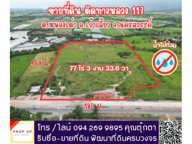แบ่งขายที่ดิน 38 ไร่ - 77 ไร่ ติดถนนทางหลวงแผ่นดิน 117 ต.หนองเต่า อ.เก้าเลี้ยว จ.นครสวรรค์