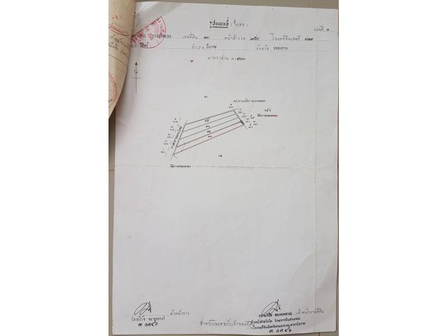 ขายที่ดินพร้อมสวนยาง