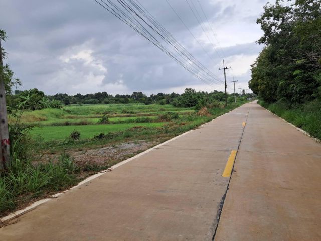 ขายที่ดินแปลงสวย 113 ไร่เศษ ต.หนองเหียง อ.พนัสนิคม จ.ชลบุรี ใกล้ถนนหลวงเส้น 331