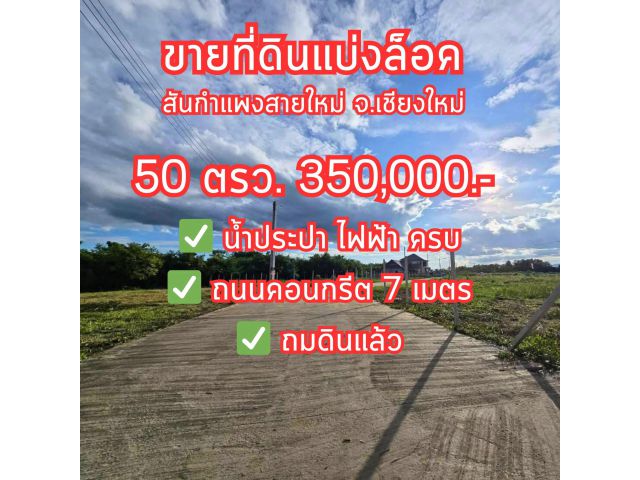 ที่ดินสันกำแพงสายใหม่ เชียงใหม่ 50 ตรว. 350,000
