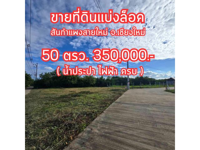 ที่ดินสันกำแพงสายใหม่ เชียงใหม่ 50 ตรว. 350,000