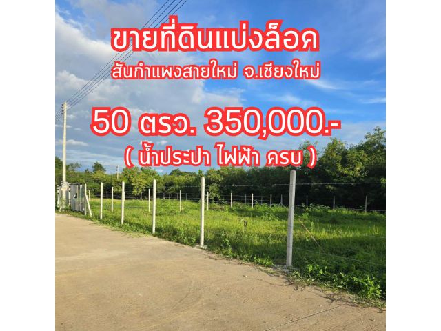 ที่ดินสันกำแพงสายใหม่ ใกล้เมือง 50 ตรว. 350,000 ถมดินแล้ว น้ำ ไฟ ครบ