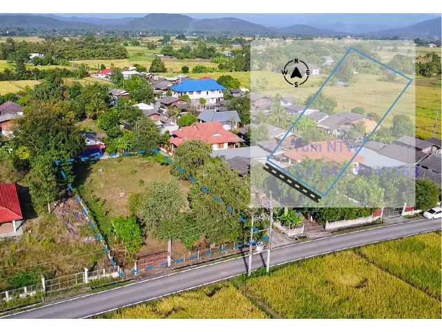 C672 ขายที่ดิน สง่าบ้าน ดอยสะเก็ด ที่สวน พื้นที่ 300 ตร.ว| Land in Doi Saket 300 Sq.Wah for Sale