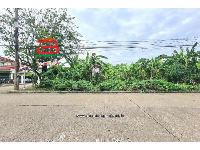 ที่ดินเปล่า หมู่บ้านปาริชาต 345 (โซน B ซอย 15) เนื้อที่ 81 ตร.ว ตำบลบางคูวัด อำเภอเมืองปทุมธานี ปทุมธานี