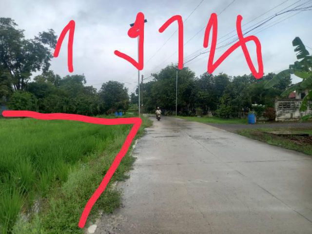 ขายที่ดิน 100 ตรว.สุดสวยติดถนน