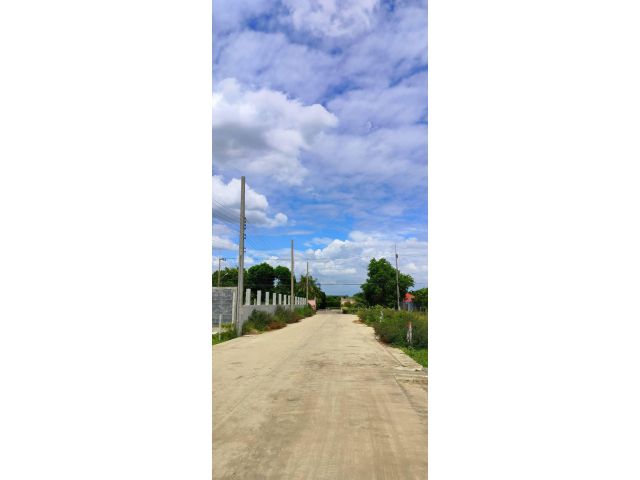 ที่ดิน
