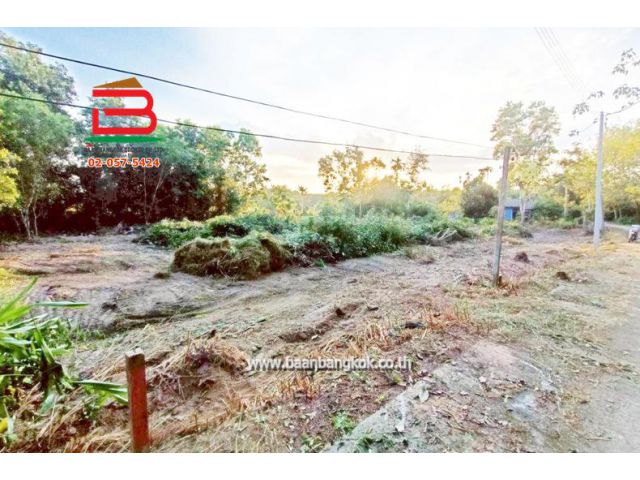 ที่ดินเปล่า อำเภอแกลง-ระยอง เนื้อที่ 393 ตารางวา ใกล้วัดชากพง ถนนเทศบาลสุนทรภู่ ตำบลชากพง อำเภอแกลง จังหวัดระยอง