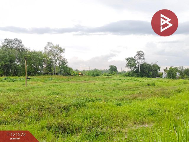ขายที่ดิน เนื้อที่ 11 ไร่ 2 งาน 80.8 ตร.วา บ้านค่าย ระยอง