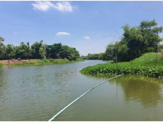 ขายที่ดินติดแม่น้ำท่าจีน
