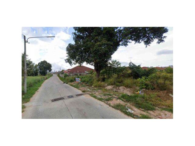 ขายที่ดิน 10 ไร่ ซอยบุญสัมพันธ์ 1 เมืองพัทยา ต.หนองปรี อ.บางละมุง จ.ชลบุรี