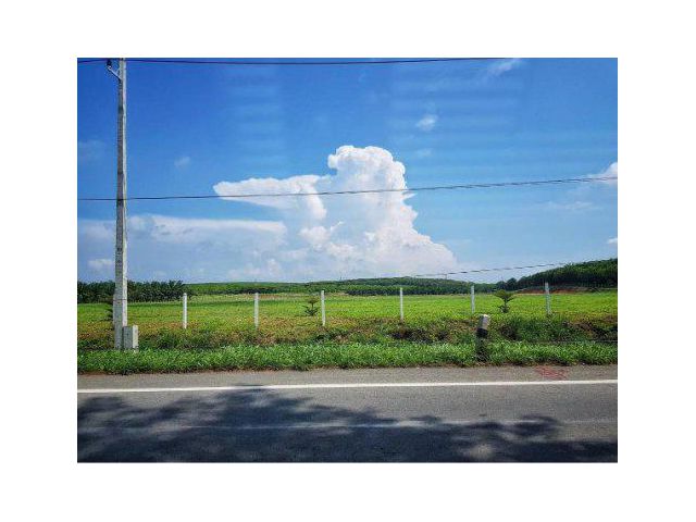 ขายที่ดิน 53 ไร่ ติดถนน3245 ผังสีม่วง ต.หนองเสือช้าง อ.หนองใหญ่ ชลบุรี