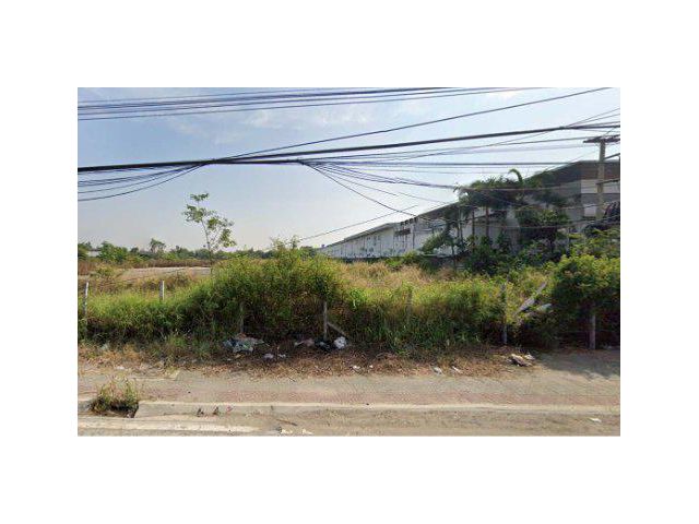 ขายที่ดิน 13 ไร่ ถมแล้ว ติดถนน307 ต.บางคูวัด อ.เมือง จ.ปทุมธานี