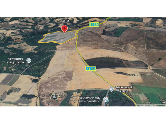 ขายที่ดินตำบลวังน้ำเขียว อำเภอวังน้ำเขียว จังหวัดนครราชสีมา  134 ไร่