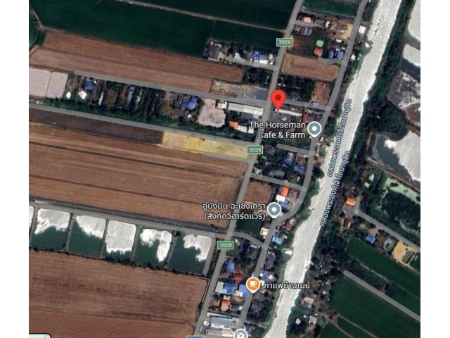 ขายที่ดิน ต.คลองหลวงแพ่ง อ.เมืองฉะเชิงเทรา เนื้อที่ 1-3-48.1 ไร่ ใกล้ถ.สุวินทวงศ์304 ใกล้แหล่งท่องเที่ยว เดินทางสะดวก