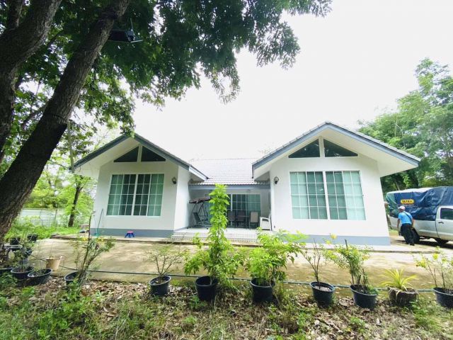 ขายถูกมาก!! บ้านสวน 3-1-66 ไร่ ทำเลดี อำเภอเมืองอุบลราชธานี ทำเลดี ใกล้แม็คโคร บิ๊กซี  สถานีขนส่งอุบลฯ